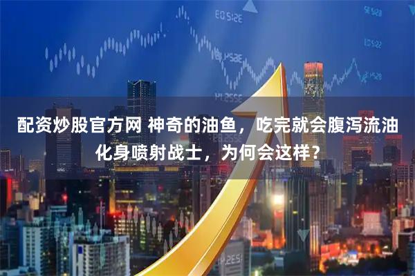 配资炒股官方网 神奇的油鱼，吃完就会腹泻流油化身喷射战士，为何会这样？